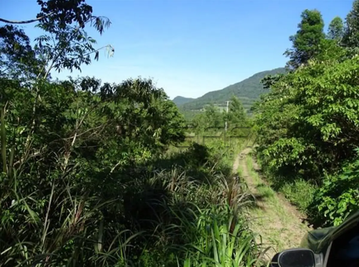 LOTE 006 - FRAÇÃO DE TERRENO RURAL EM IGREJINHA/RS