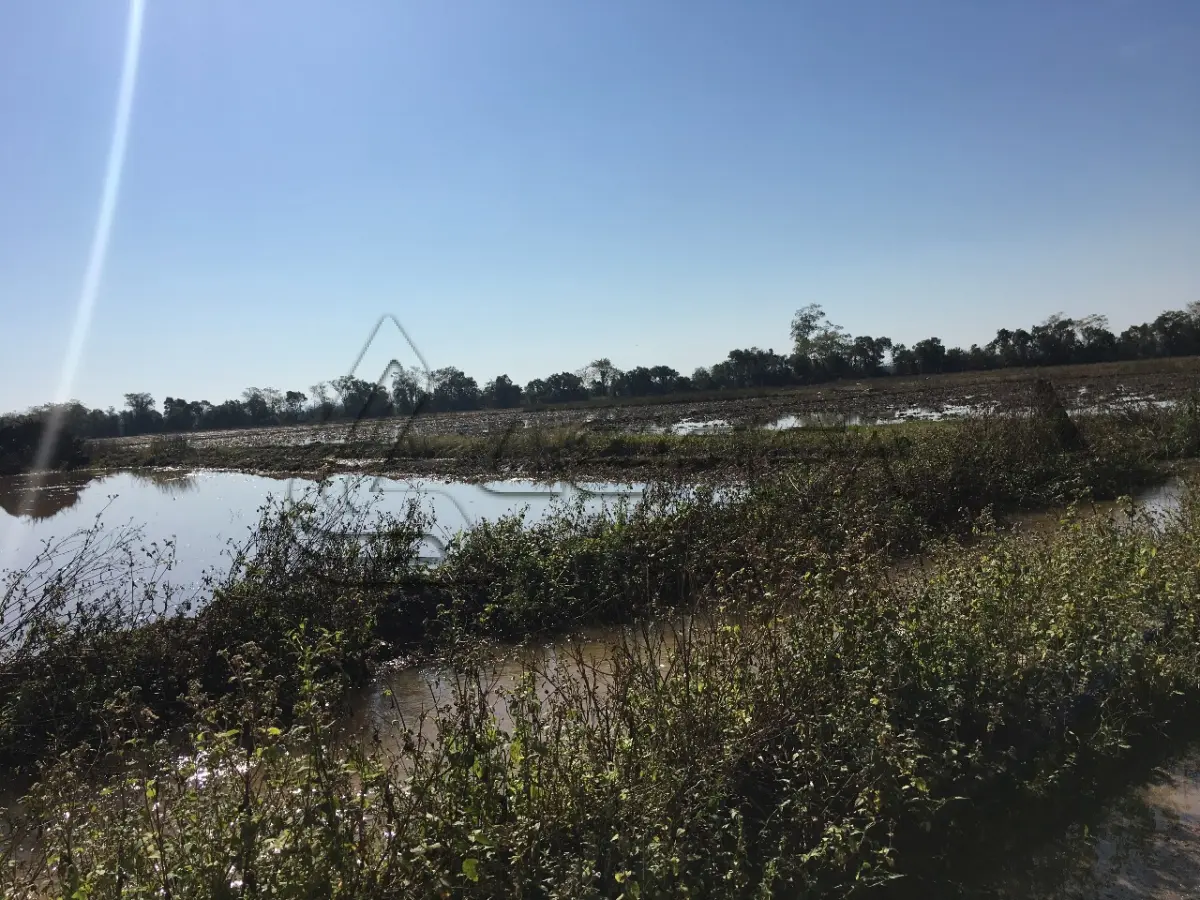 LOTE 003 - ÁREA RURAL SITUADO NA GLÓRIA, PIRATABA EM TORRES/RS