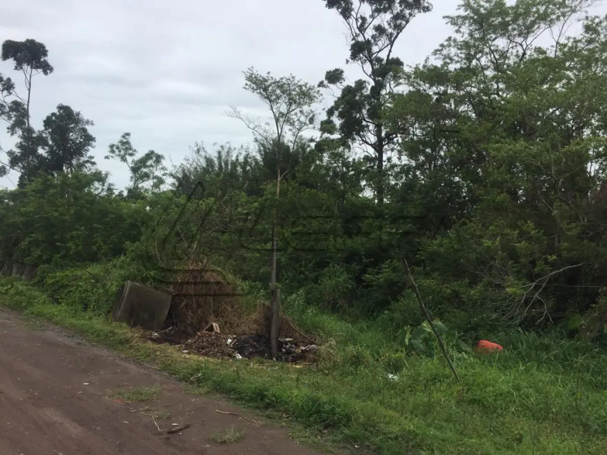 LOTE 024 - TERRENO, lote 07, da quadra 183, em Terra de Areia/RS