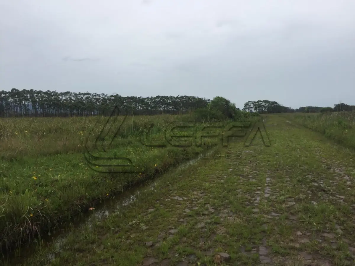 LOTE 008 - TERRENO, lote 10, da quadra 35, Novo Curumim, em Terra de Areia/RS