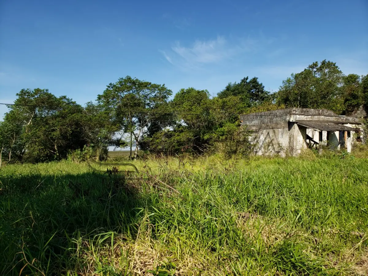 LOTE 001 - ÁREA DE TERRA, APROXIMADAMENTE 4.754,52M², ÀS MARGENS DA BR 101, KM 12, NO ACESSO À DOM PEDRO DE ALCÂNTARA/RS