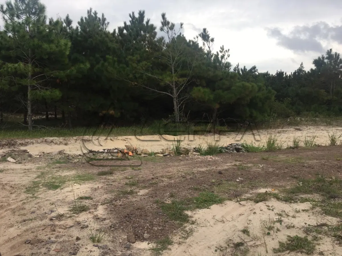 LOTE 002