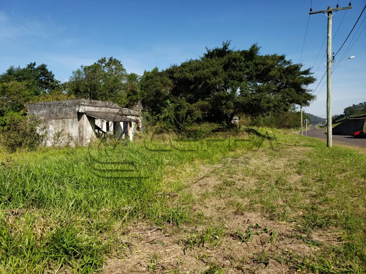LOTE 001 - ÁREA DE TERRA, APROXIMADAMENTE 4.754,52M², ÀS MARGENS DA BR 101, KM 12, NO ACESSO À DOM PEDRO DE ALCÂNTARA/RS