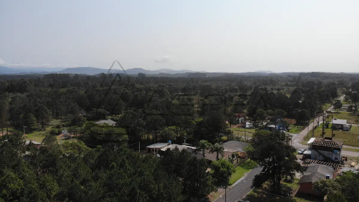 LOTE 001