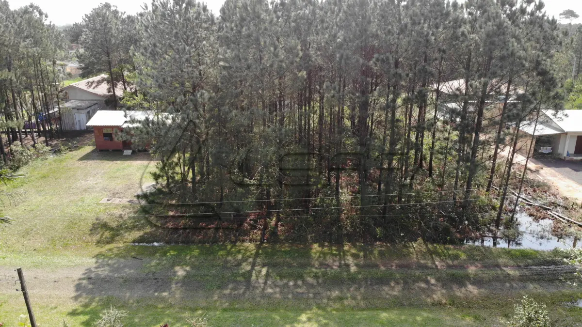 LOTE 001 - Terreno Urbano no Pinus Park, Lote 37 da Quadra 20 em Arroio do Sal /RS