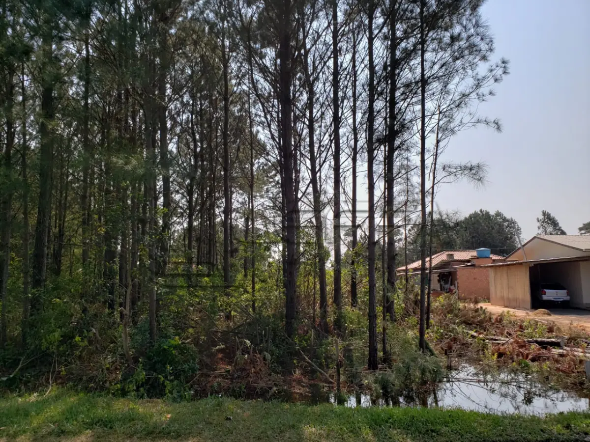 LOTE 001 - Terreno Urbano no Pinus Park, Lote 37 da Quadra 20 em Arroio do Sal /RS