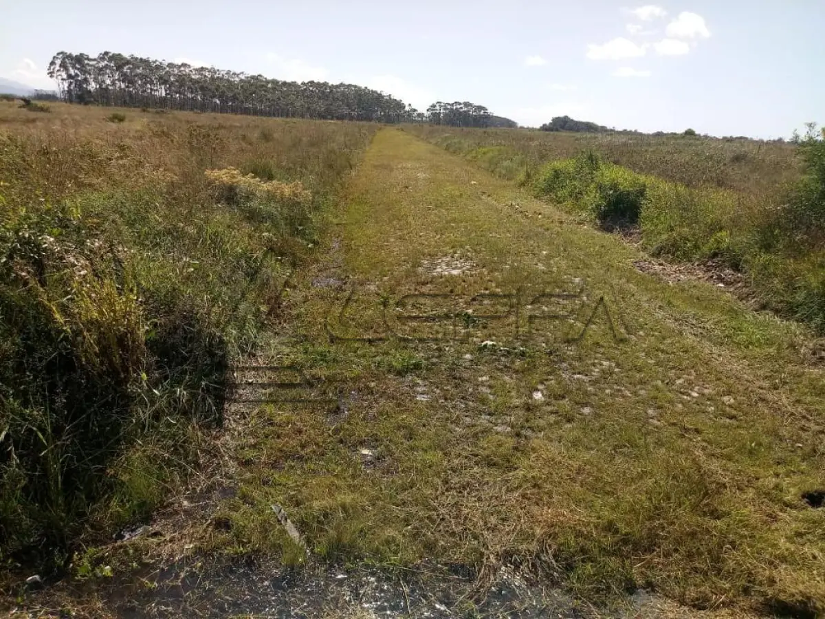 LOTE 015