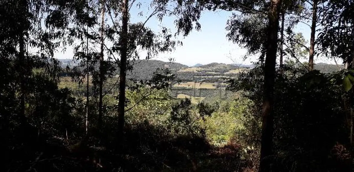 LOTE 001 - Área Rural, de 30.000,00 m², no lugar denominado Chapadão, em Canela/RS