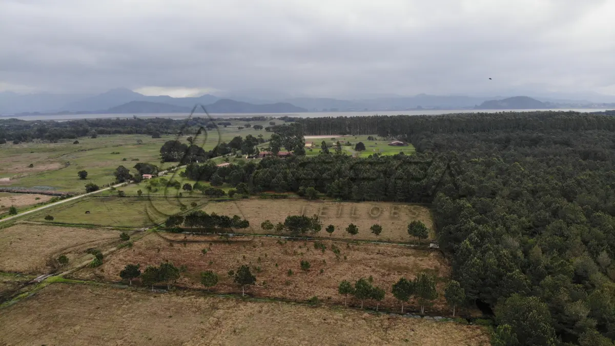 LOTE 001 - Uma Gleba de Terras, de 53,73 Hectares, na Rondinha, em Arroio do Sal/RS