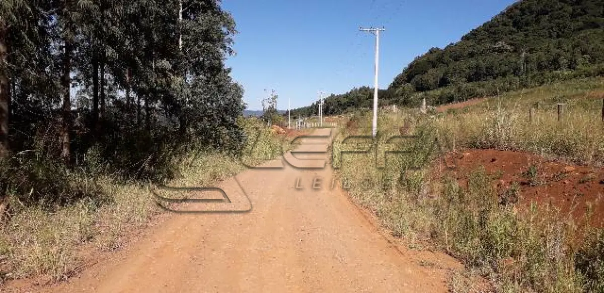 LOTE 001 - Área Rural, de 30.000,00 m², no lugar denominado Chapadão, em Canela/RS