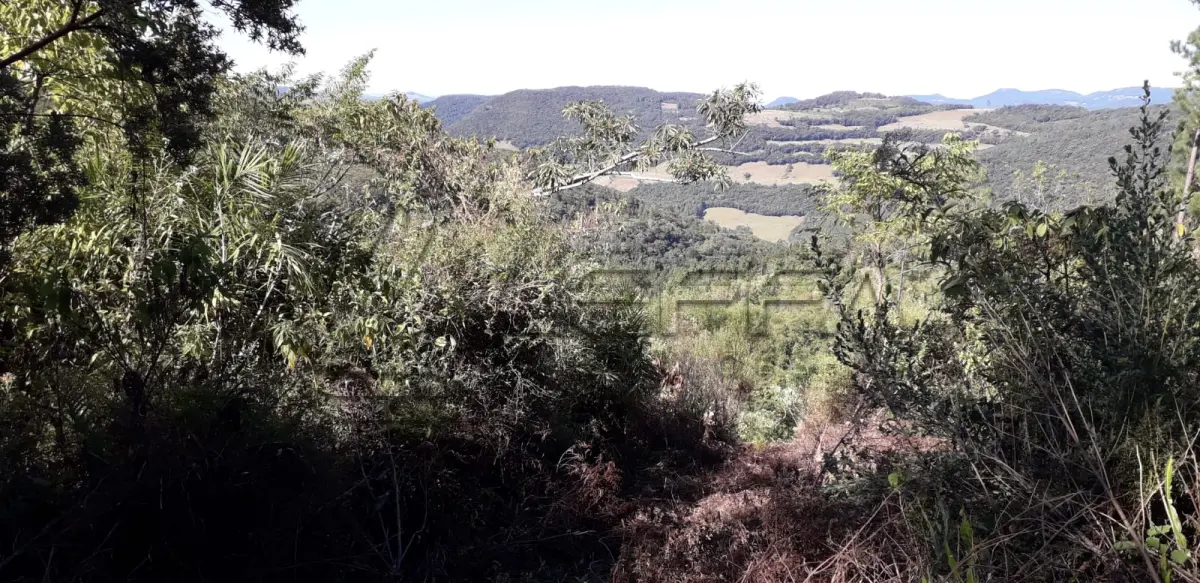 LOTE 001 - Área Rural, de 30.000,00 m², no lugar denominado Chapadão, em Canela/RS