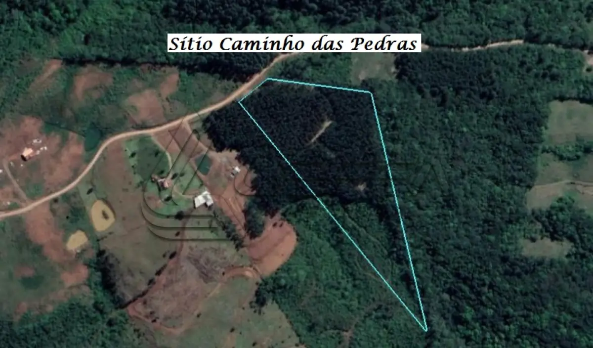 LOTE 001