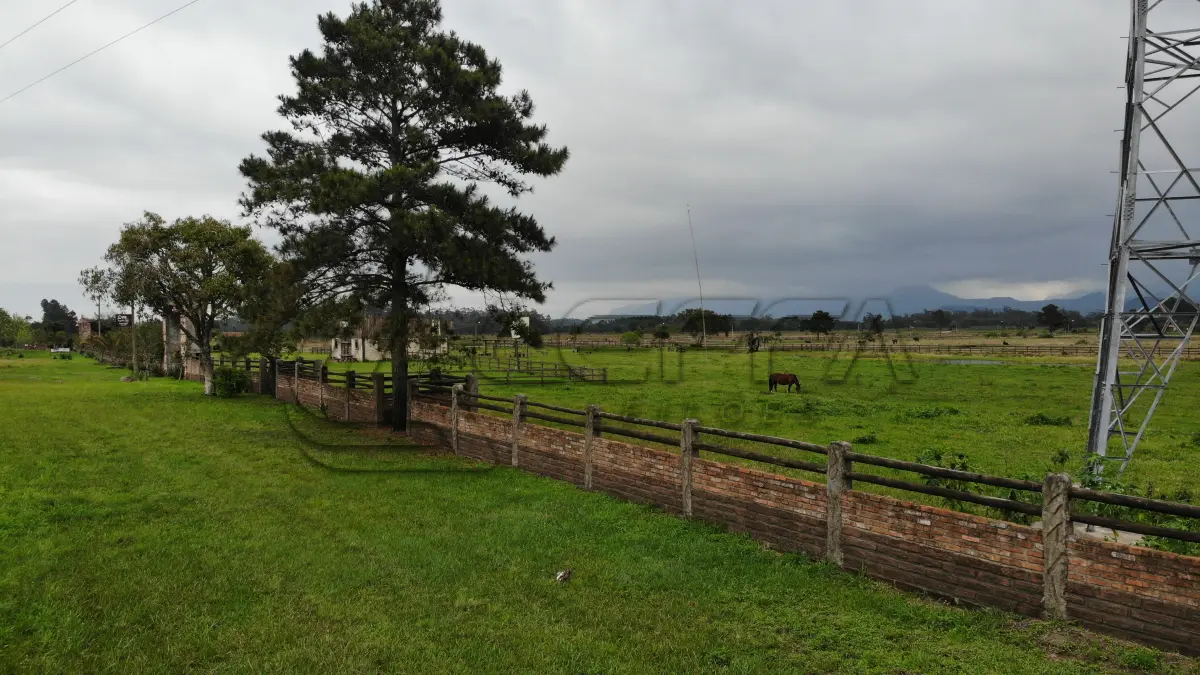 LOTE 001 - Uma Gleba de Terras, de 53,73 Hectares, na Rondinha, em Arroio do Sal/RS