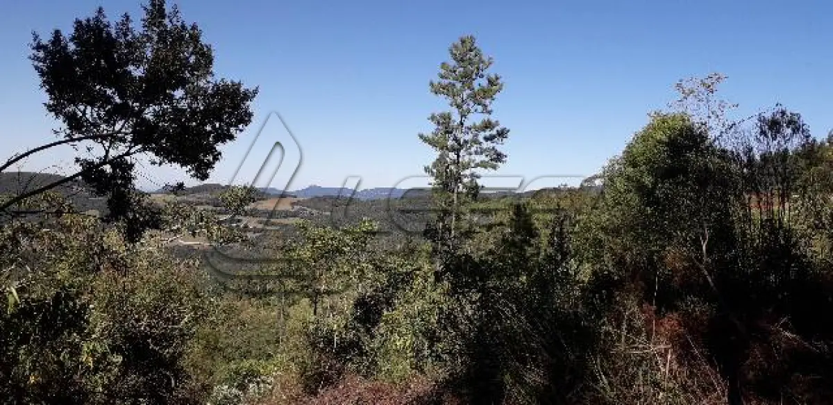 LOTE 001 - Área Rural, de 30.000,00 m², no lugar denominado Chapadão, em Canela/RS