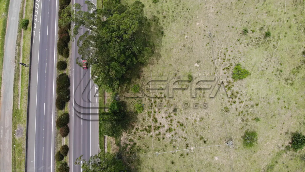 LOTE 001 - ÁREA DE 55.000M² (5,5 HÁ), COM FRENTE PARA BR 101, DISTANDO 1,5 KM DA RÓTULA DE ACESSO A CIDADE DE TORRES/RS