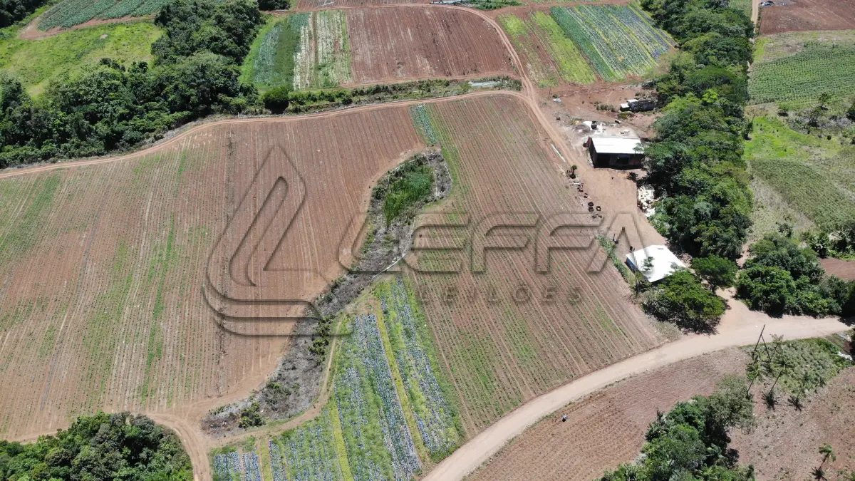 LOTE 001 - UM TERRENO RURAL DE 21,5 HECTARES, COM BENFEITORIAS, SITUADO NO LUGAR DENOMINADO MORRO DO CHAPÉU, NO MUNICÍPIO DE TRÊS FORQUILHAS/RS.
