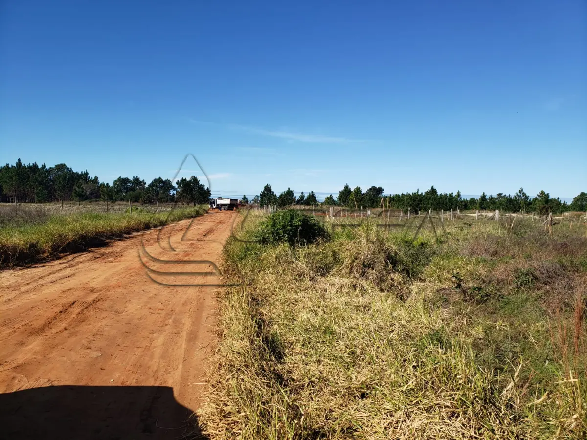 LOTE 003 - Terreno Urbano, lote 24 quadra 12, na Praia Tupynambá, em Torres/RS