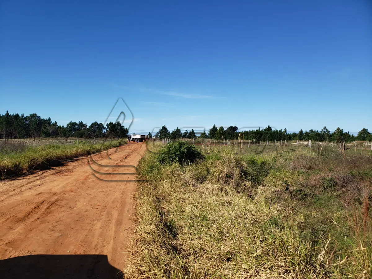 LOTE 003 - Terreno Urbano, lote 24 quadra 12, na Praia Tupynambá, em Torres/RS