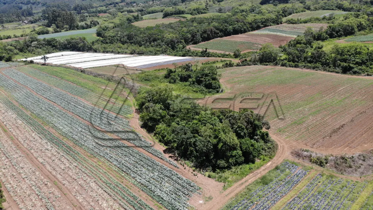 LOTE 001 - UM TERRENO RURAL DE 21,5 HECTARES, COM BENFEITORIAS, SITUADO NO LUGAR DENOMINADO MORRO DO CHAPÉU, NO MUNICÍPIO DE TRÊS FORQUILHAS/RS.