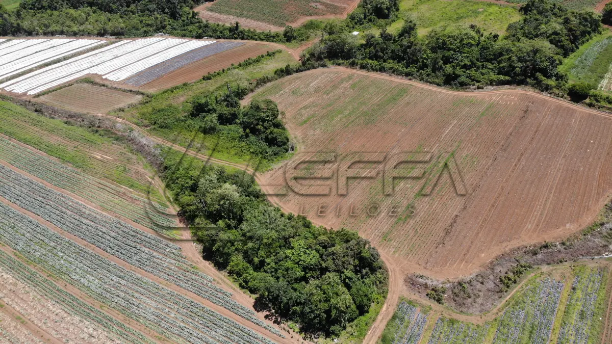 LOTE 001 - UM TERRENO RURAL DE 21,5 HECTARES, COM BENFEITORIAS, SITUADO NO LUGAR DENOMINADO MORRO DO CHAPÉU, NO MUNICÍPIO DE TRÊS FORQUILHAS/RS.