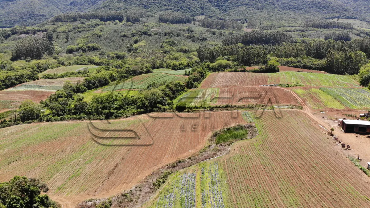 LOTE 001 - UM TERRENO RURAL DE 21,5 HECTARES, COM BENFEITORIAS, SITUADO NO LUGAR DENOMINADO MORRO DO CHAPÉU, NO MUNICÍPIO DE TRÊS FORQUILHAS/RS.