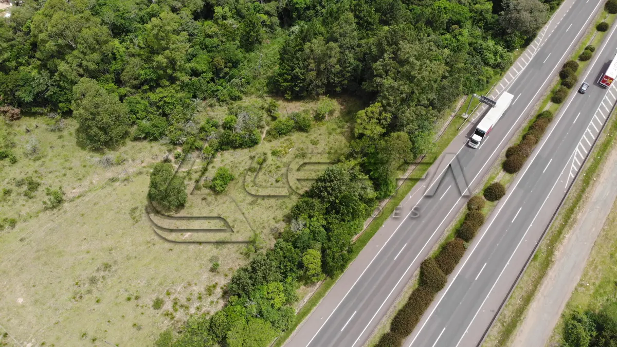 LOTE 001 - ÁREA DE 55.000M² (5,5 HÁ), COM FRENTE PARA BR 101, DISTANDO 1,5 KM DA RÓTULA DE ACESSO A CIDADE DE TORRES/RS