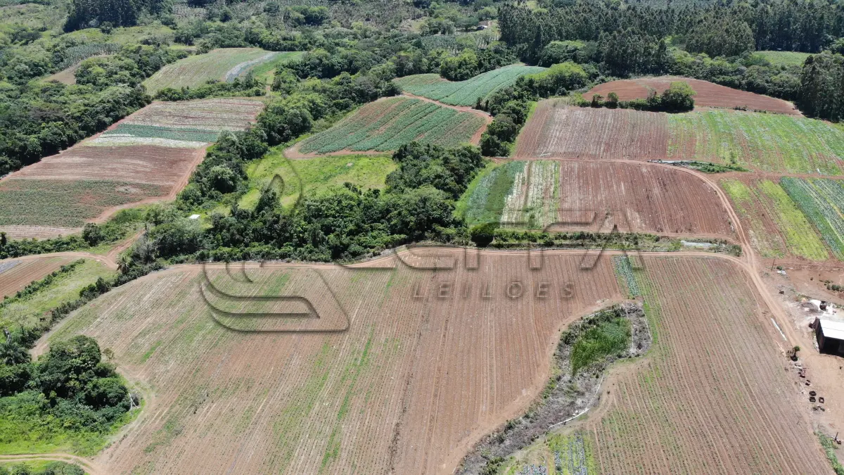 LOTE 001 - UM TERRENO RURAL DE 21,5 HECTARES, COM BENFEITORIAS, SITUADO NO LUGAR DENOMINADO MORRO DO CHAPÉU, NO MUNICÍPIO DE TRÊS FORQUILHAS/RS.