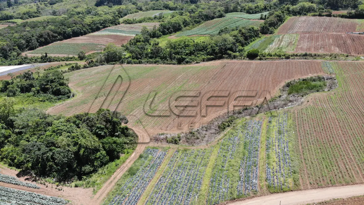 LOTE 001 - UM TERRENO RURAL DE 21,5 HECTARES, COM BENFEITORIAS, SITUADO NO LUGAR DENOMINADO MORRO DO CHAPÉU, NO MUNICÍPIO DE TRÊS FORQUILHAS/RS.