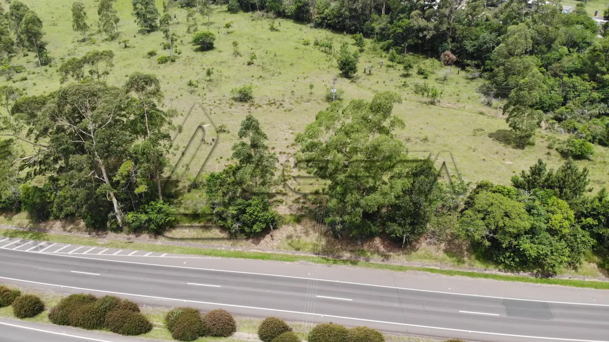 LOTE 001 - ÁREA DE 55.000M² (5,5 HÁ), COM FRENTE PARA BR 101, DISTANDO 1,5 KM DA RÓTULA DE ACESSO A CIDADE DE TORRES/RS