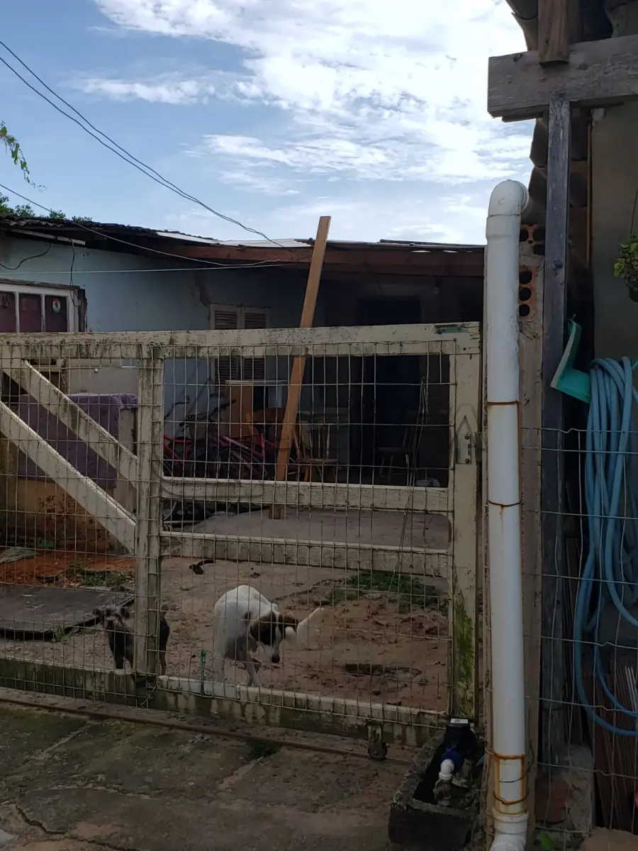 LOTE 001