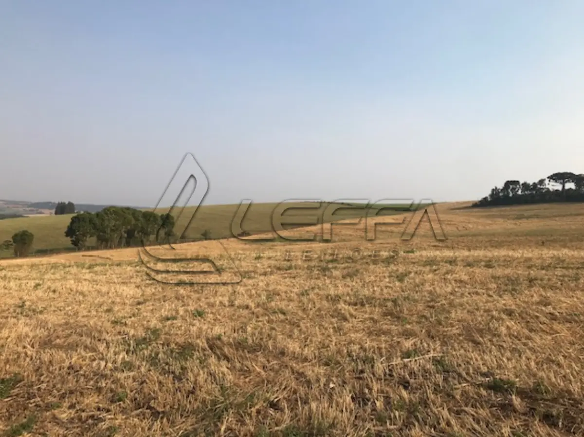 LOTE 001 - Área Rural, de 242.000,00m², na Fazenda Cruzeiro, Paiol das Telhas, em Abelardo Luz/SC