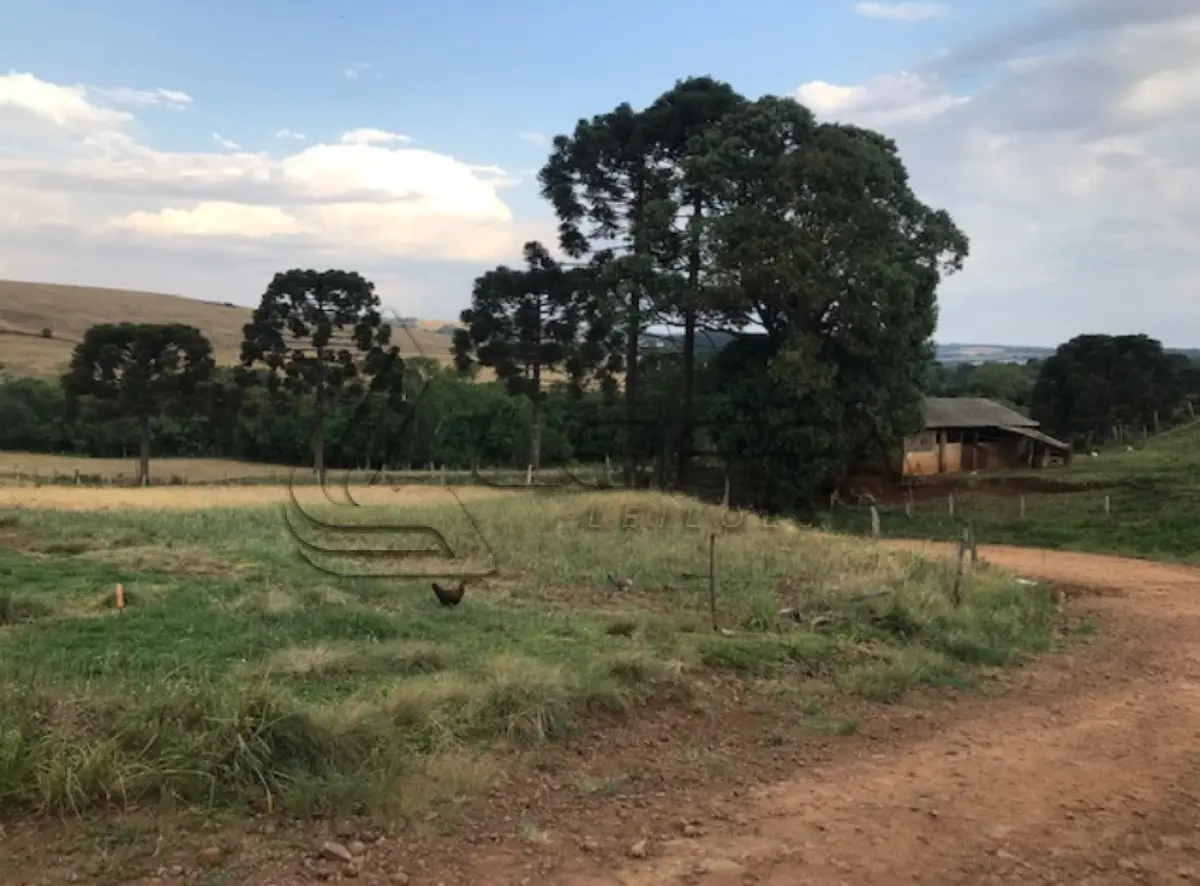 LOTE 001 - Área Rural, de 242.000,00m², na Fazenda Cruzeiro, Paiol das Telhas, em Abelardo Luz/SC
