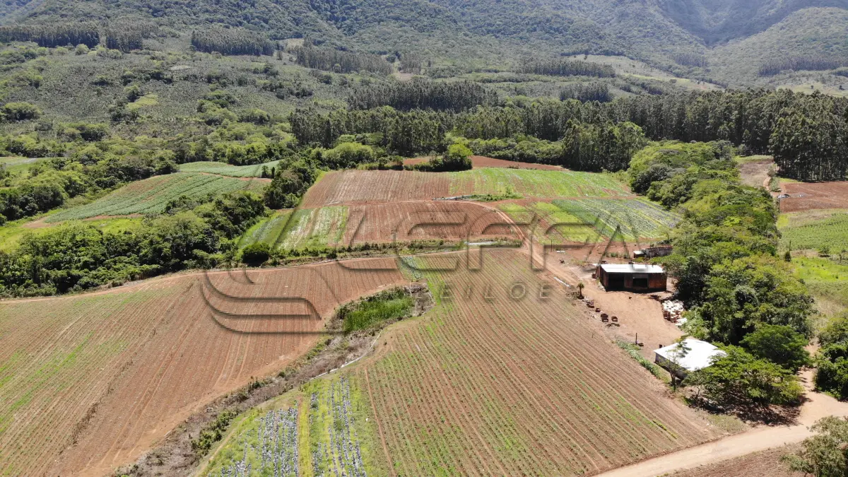 LOTE 001 - UM TERRENO RURAL DE 21,5 HECTARES, COM BENFEITORIAS, SITUADO NO LUGAR DENOMINADO MORRO DO CHAPÉU, NO MUNICÍPIO DE TRÊS FORQUILHAS/RS.