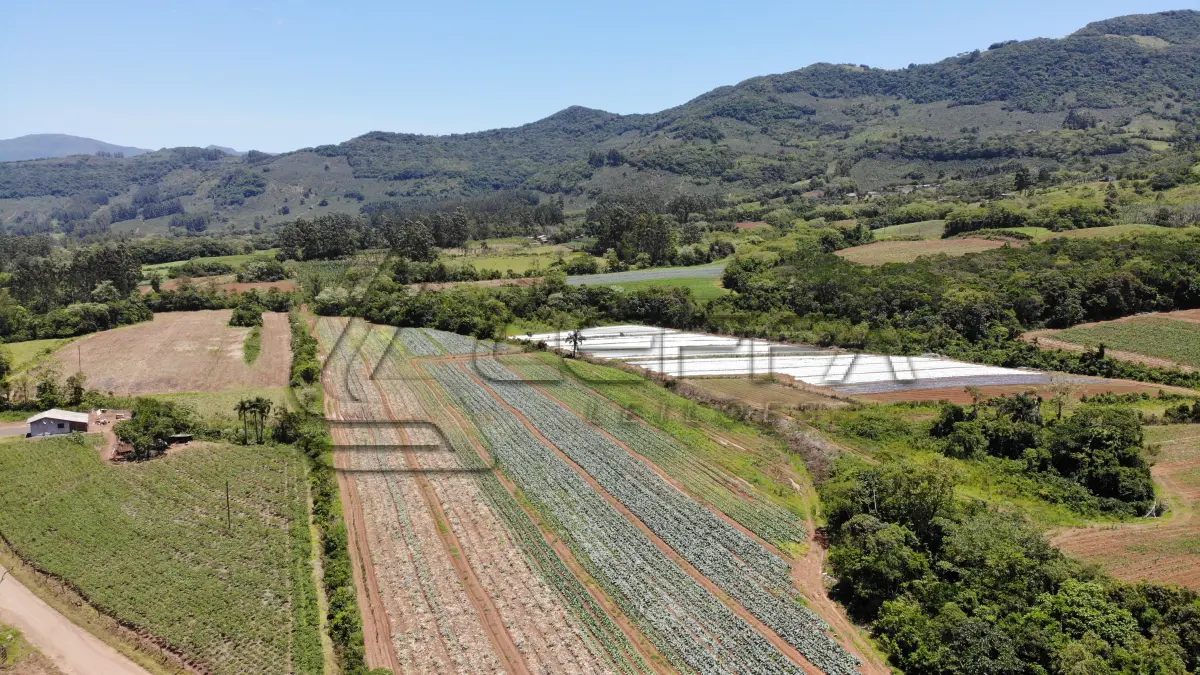 LOTE 001 - UM TERRENO RURAL DE 21,5 HECTARES, COM BENFEITORIAS, SITUADO NO LUGAR DENOMINADO MORRO DO CHAPÉU, NO MUNICÍPIO DE TRÊS FORQUILHAS/RS.