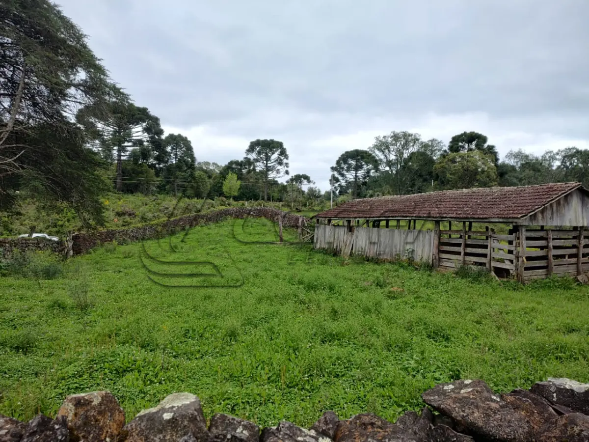 LOTE 020 - UM TERRENO RURAL, COM 5.000 METROS QUADRADOS, EM BOM JESUS/RS