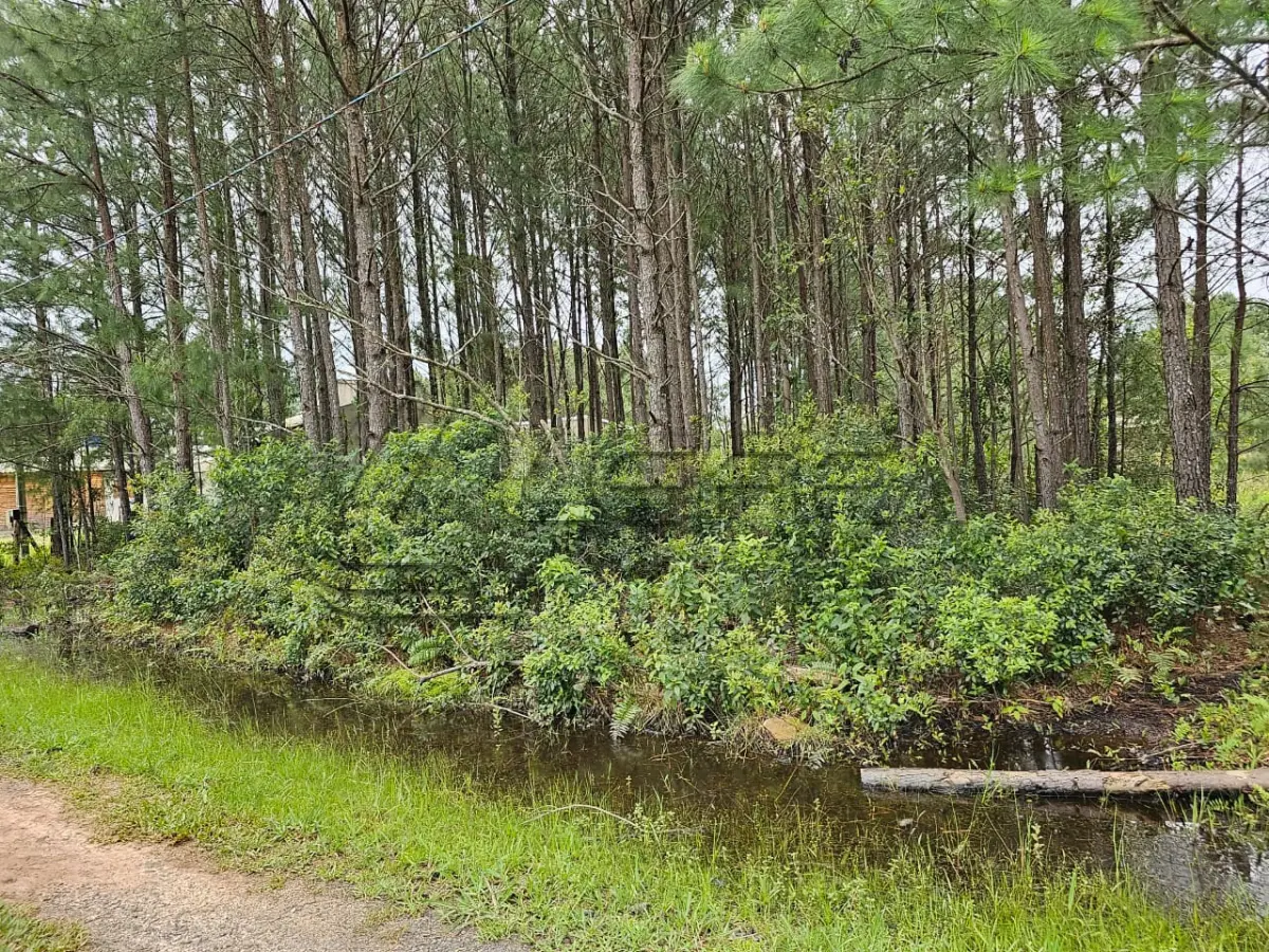 LOTE 001 - Terreno Urbano, Lote 22 Quadra 23, no Balneário Pinus Park em Arroio do Sal RS