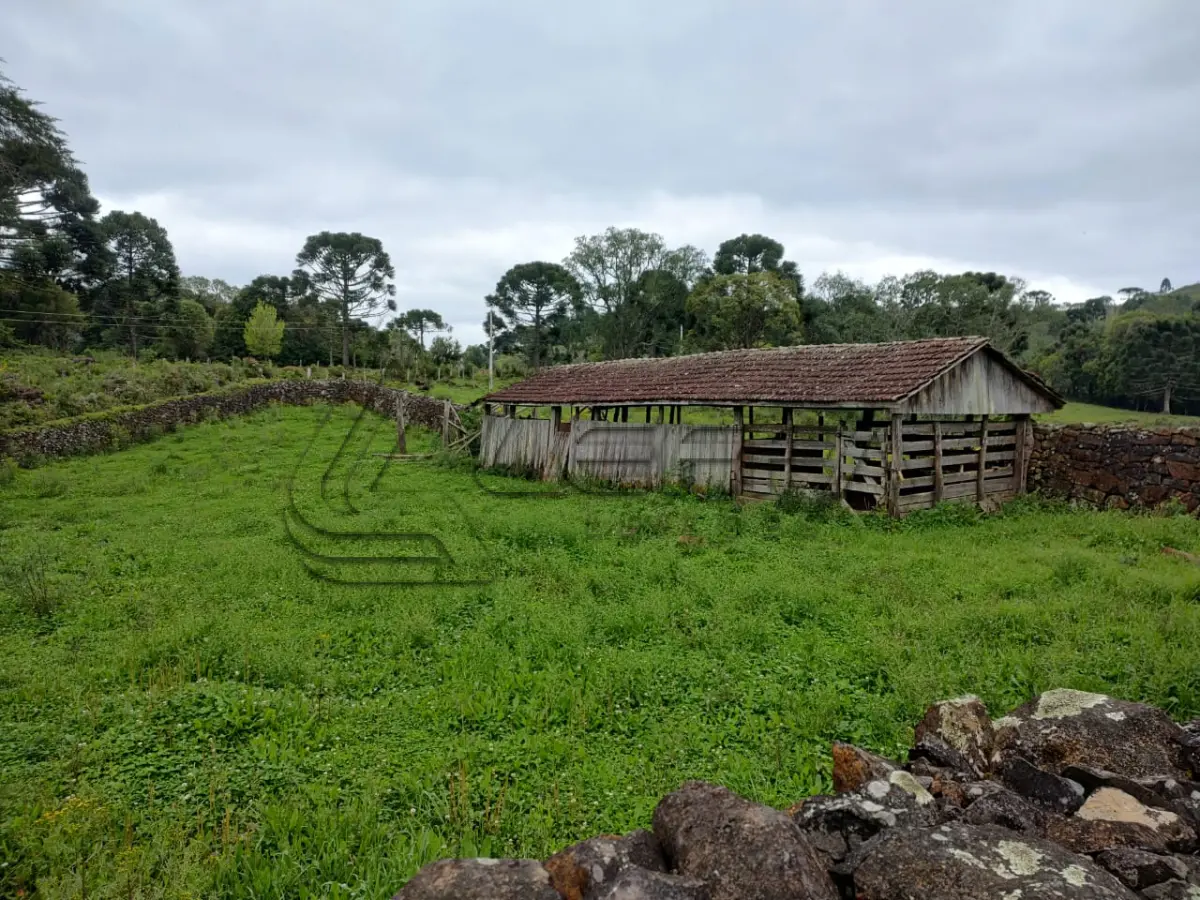 LOTE 020 - UM TERRENO RURAL, COM 5.000 METROS QUADRADOS, EM BOM JESUS/RS
