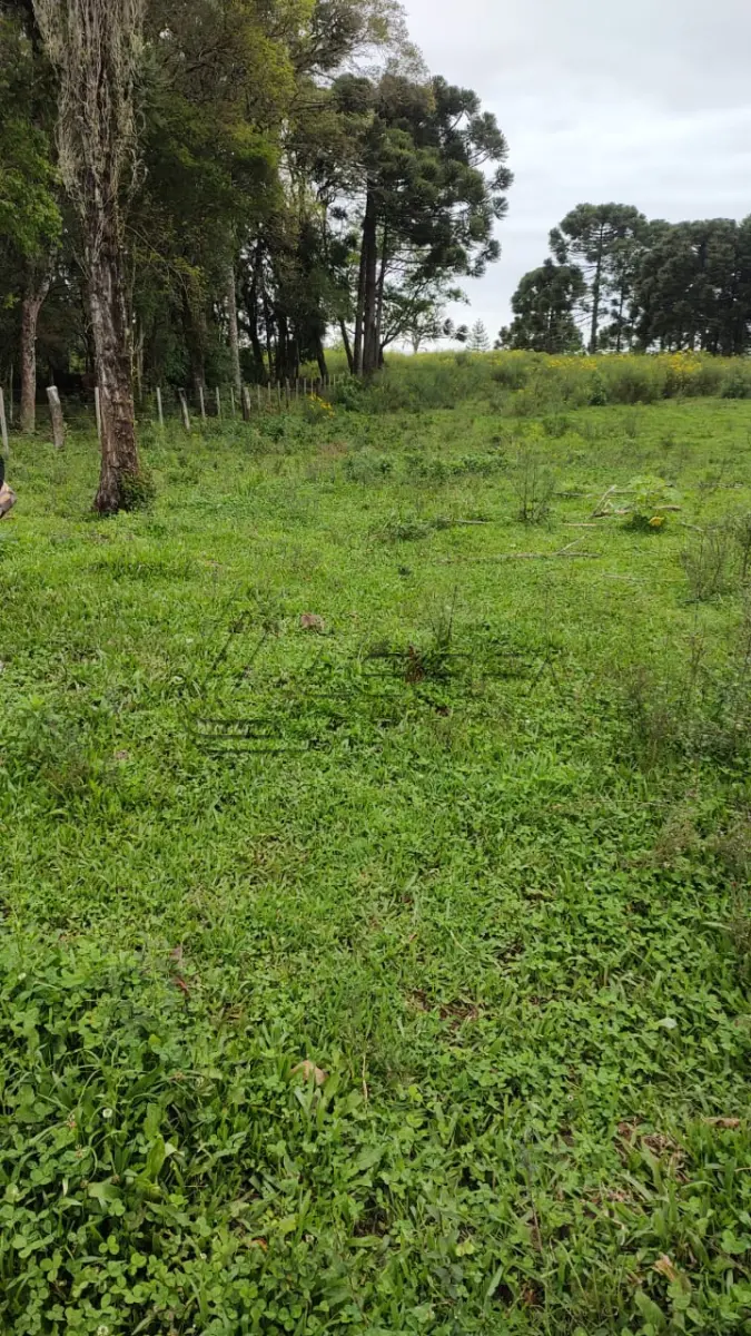 LOTE 020 - UM TERRENO RURAL, COM 5.000 METROS QUADRADOS, EM BOM JESUS/RS