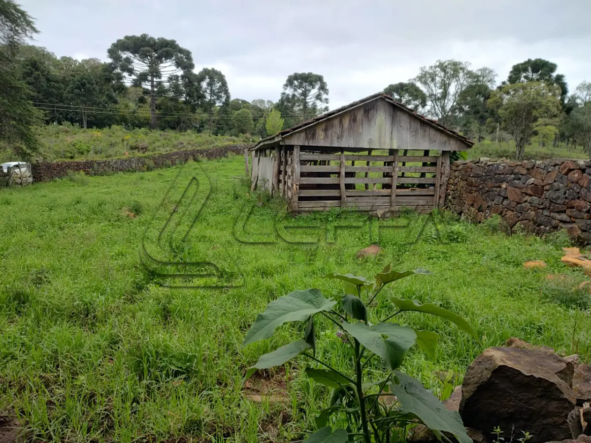 LOTE 020 - UM TERRENO RURAL, COM 5.000 METROS QUADRADOS, EM BOM JESUS/RS
