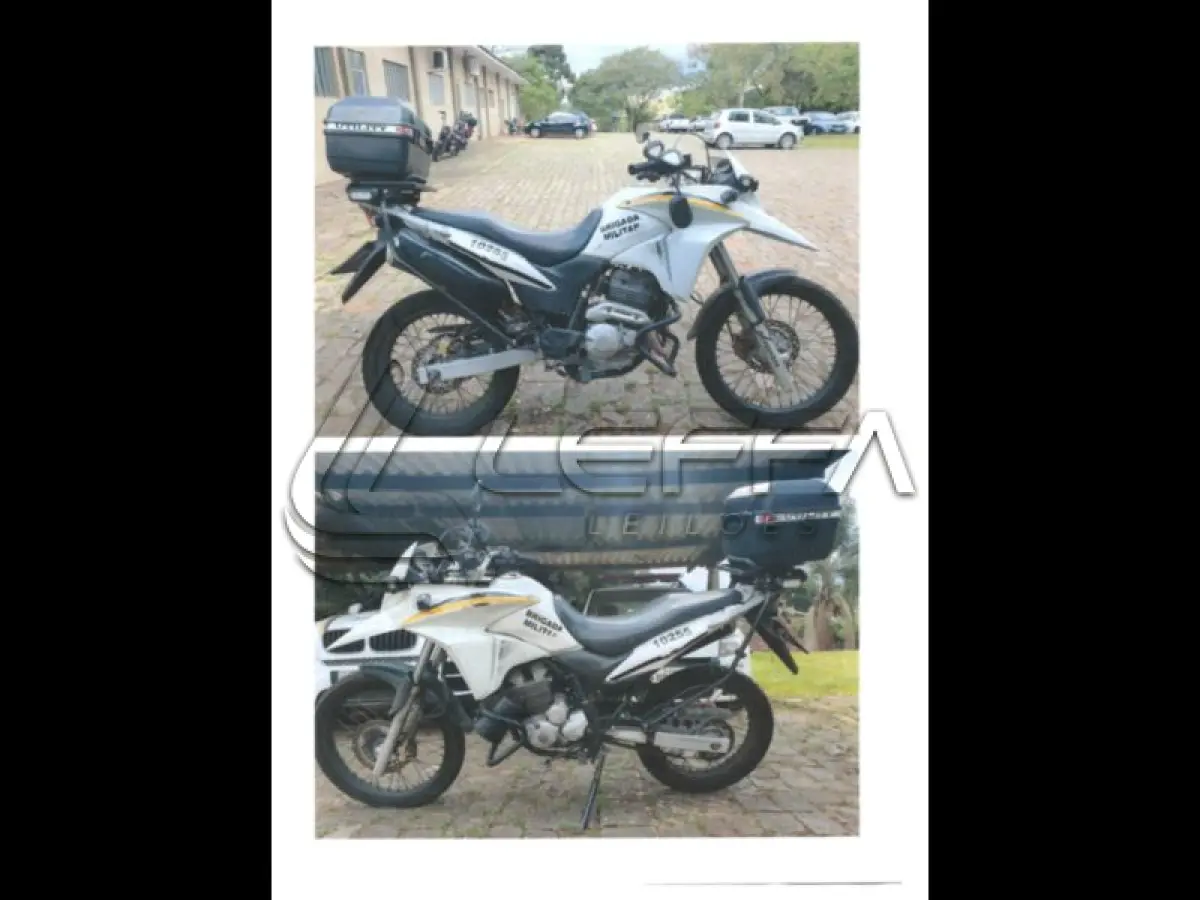 LOTE 211