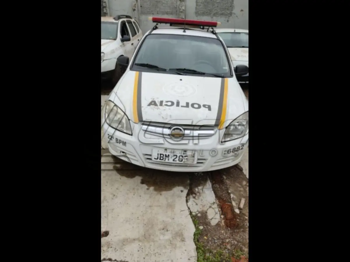 LOTE 219