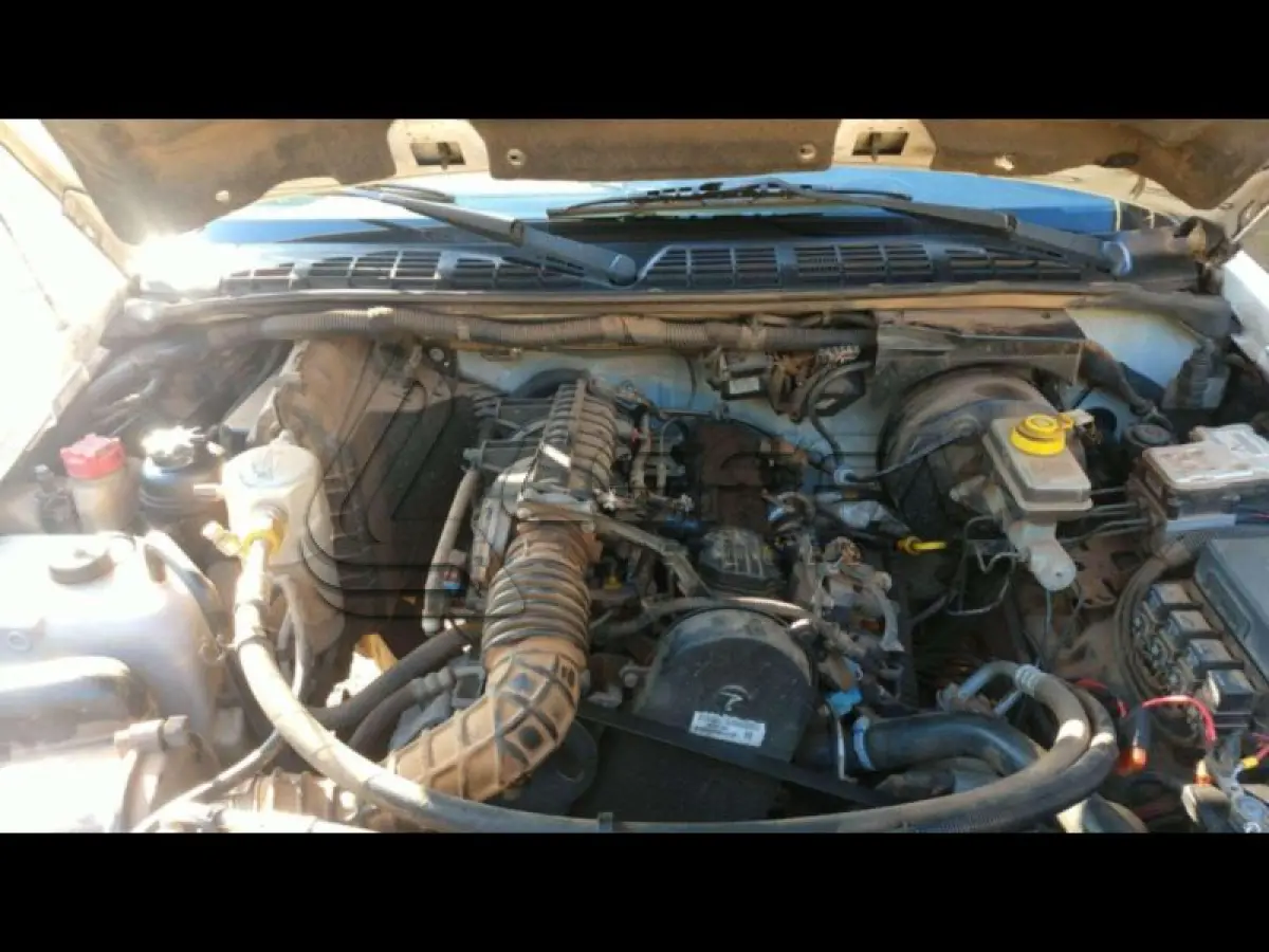 LOTE 100