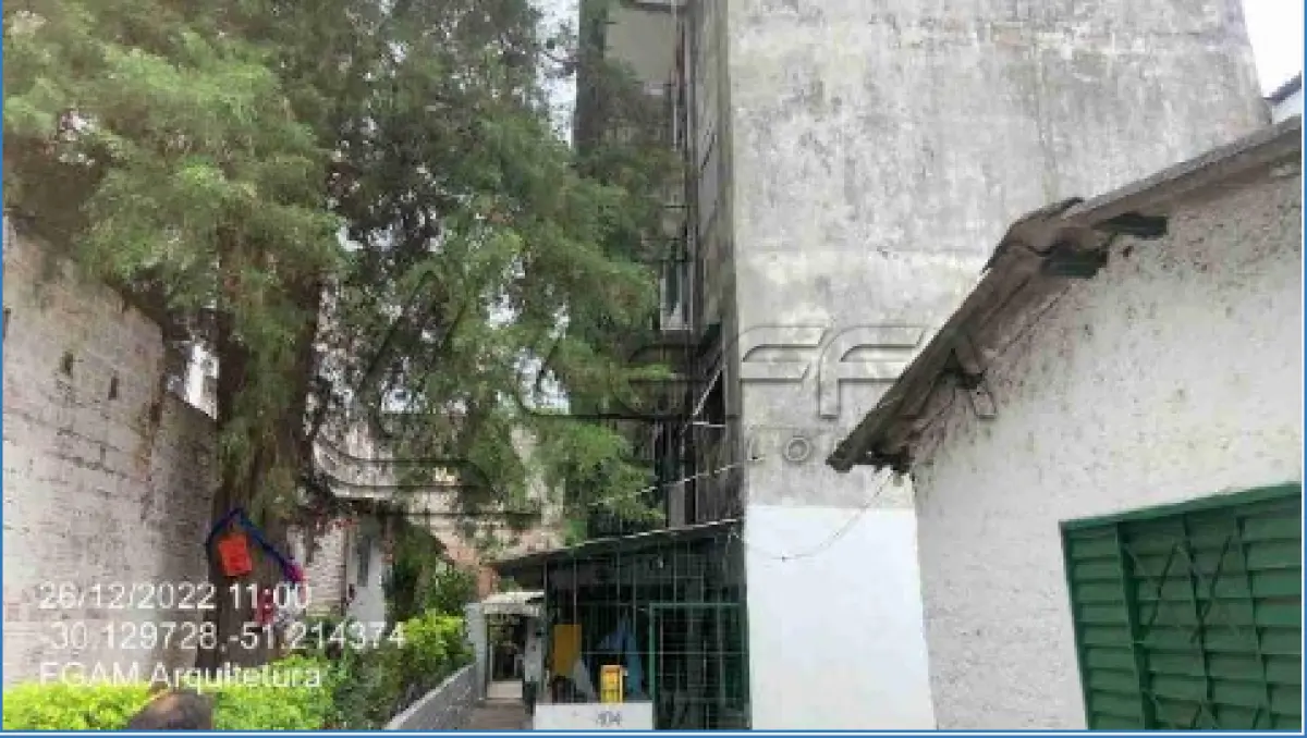 LOTE 233