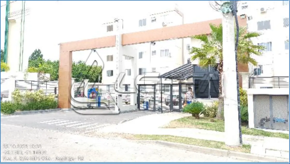 LOTE 237