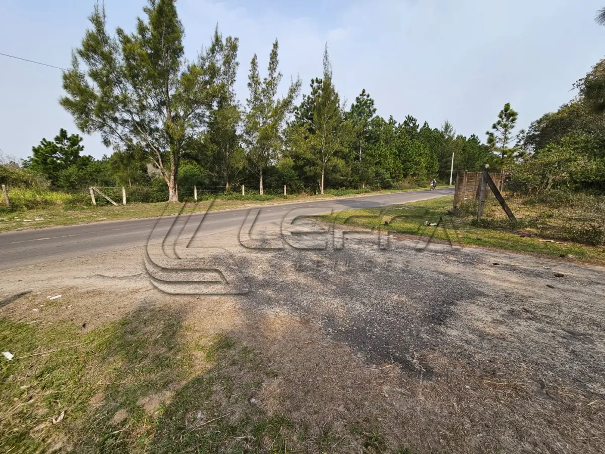 LOTE 001 - UMA ÁREA DE TERRAS DE 14,9 HÁ, NO LUGAR DENOMINADO ARROIO TEIXEIRA, ENTRE OS MUNICÍPIOS DE TERRA DE AREIA/RS E CAPÃO DA CANOA/RS, NO LUGAR DENOMINADO “CAMPING CLUBE DO BRASIL”