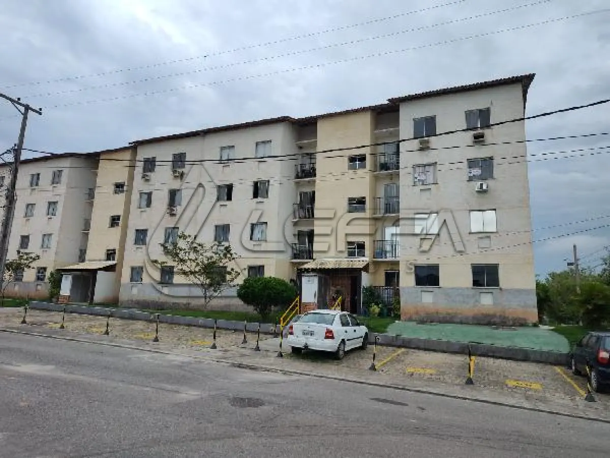 LOTE 252