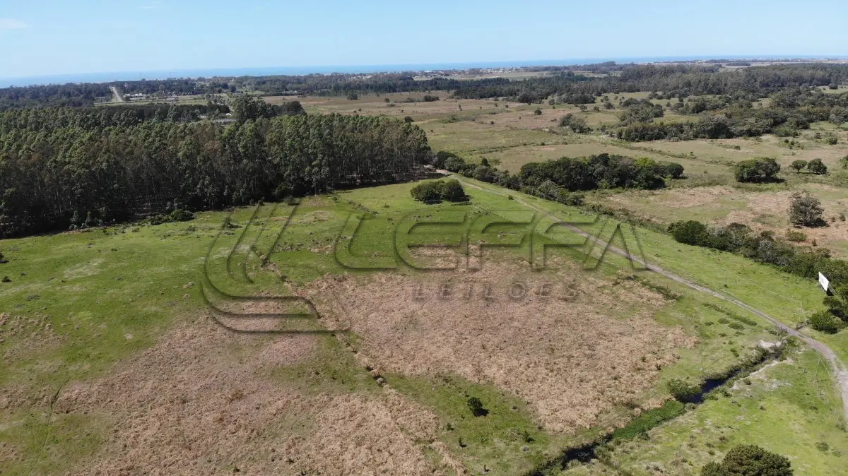 LOTE 001 - 52,27 HECTARES COM ACESSO PELA RODOVIA RS-389 (ESTRADA DO MAR), E TESTADA COM A LAGOA DA ITAPEVA, RONDINHA, ARROIO DO SAL/RS