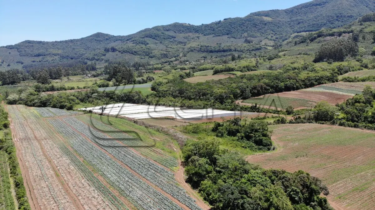 LOTE 001 - UM TERRENO RURAL DE 14,9 HECTARES, COM BENFEITORIAS, SITUADO NO LUGAR DENOMINADO MORRO DO CHAPÉU, NO MUNICÍPIO DE TRÊS FORQUILHAS/RS