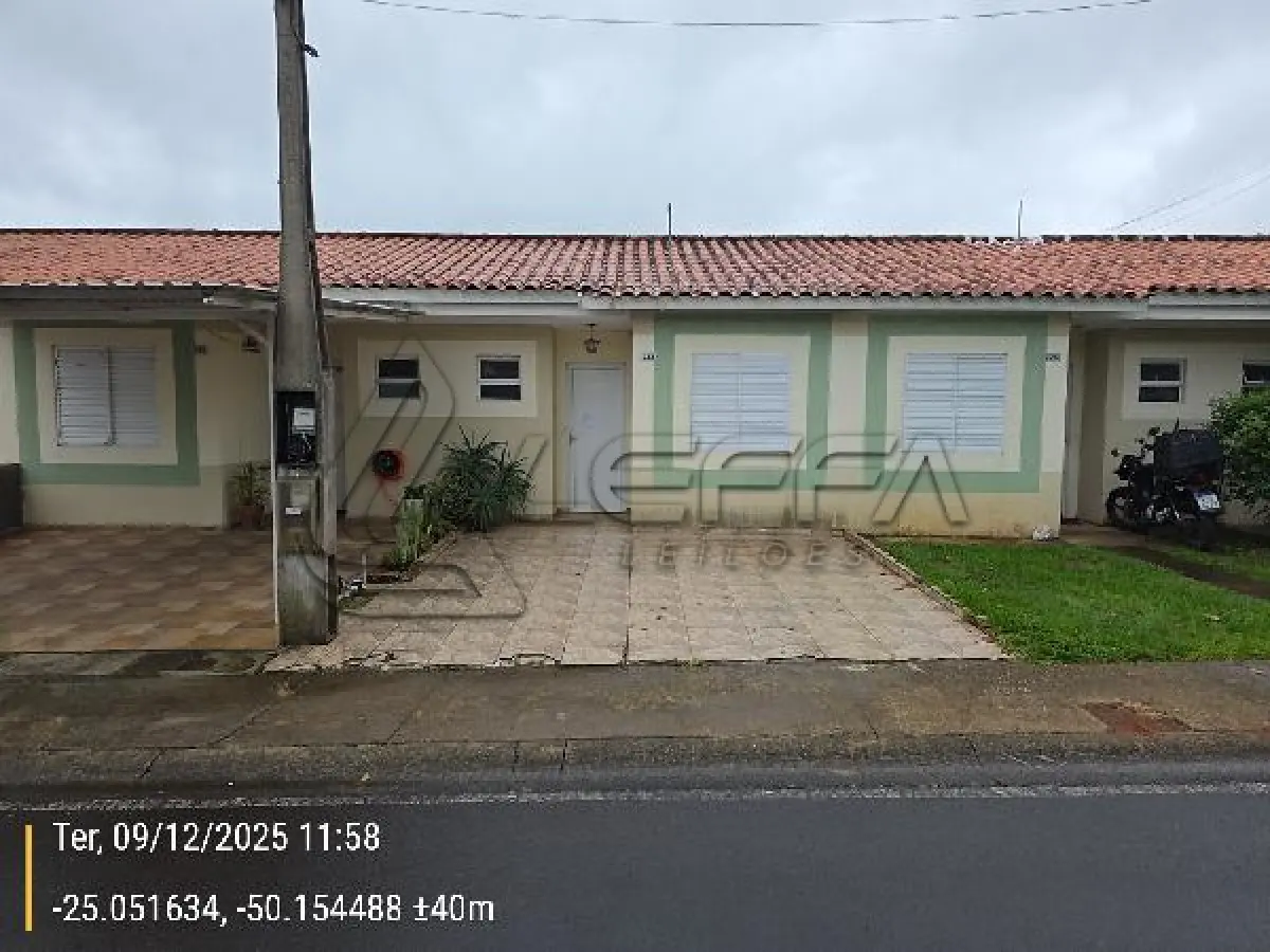 LOTE 259