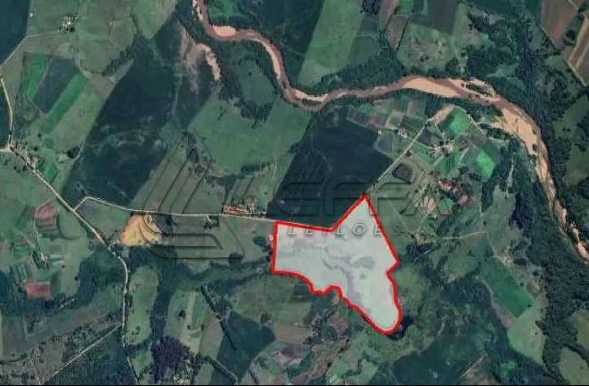 LOTE 001 - ÁREA DE TERRAS DE 3,69 HÁ, DESMEMBRADA, MATRÍCULA PRÓPRIA, SITUADO NO LUGAR DENOMINADO CAPIVARA, PELOTAS/RS